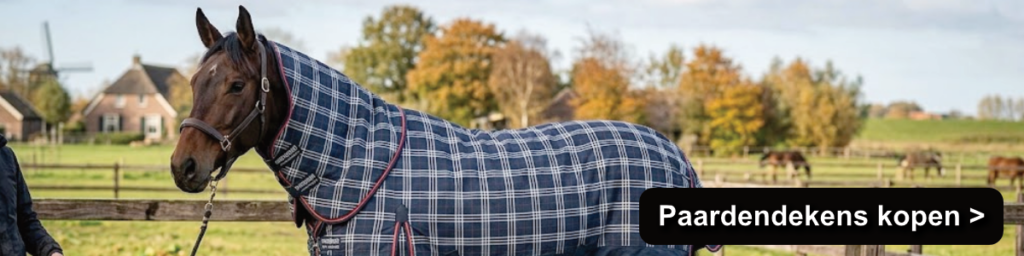Paardendekens kopen
