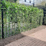 DSM hekwerk hedera