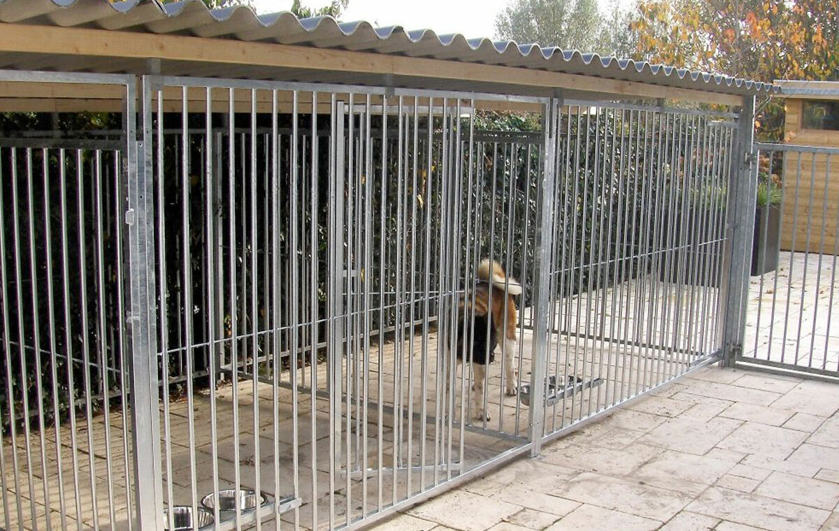 hondenkennel