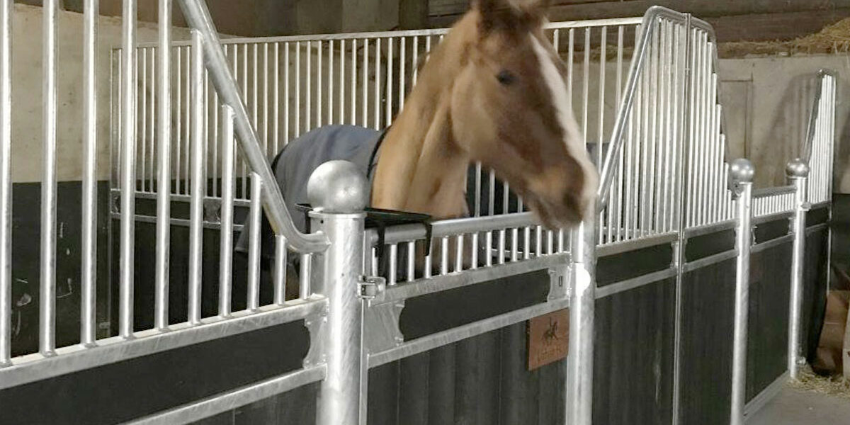Paardenbox kopen tips en tricks