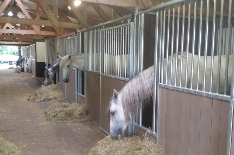 paardenbox onderhouden