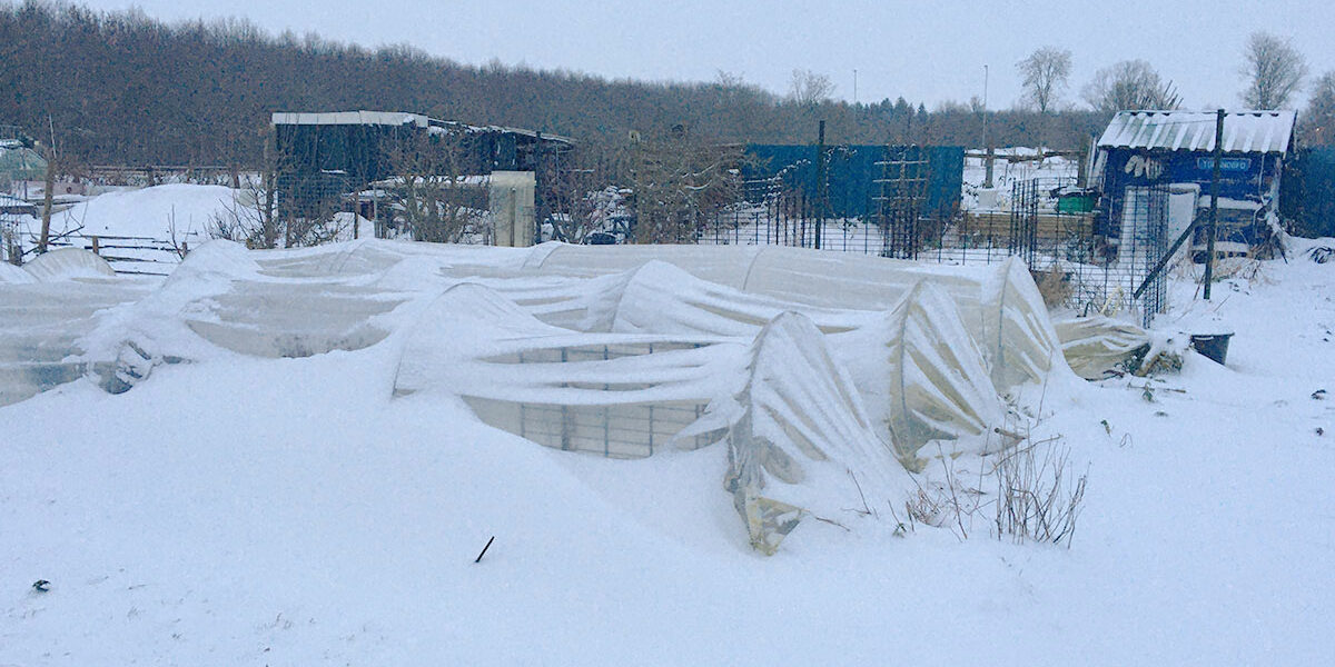 Groente kweken in de winter