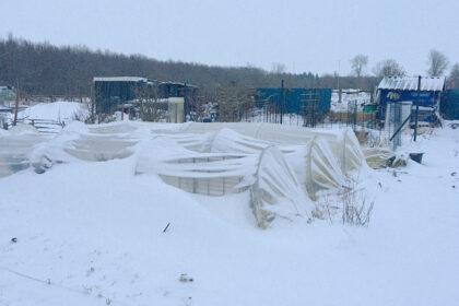 Groente kweken in de winter