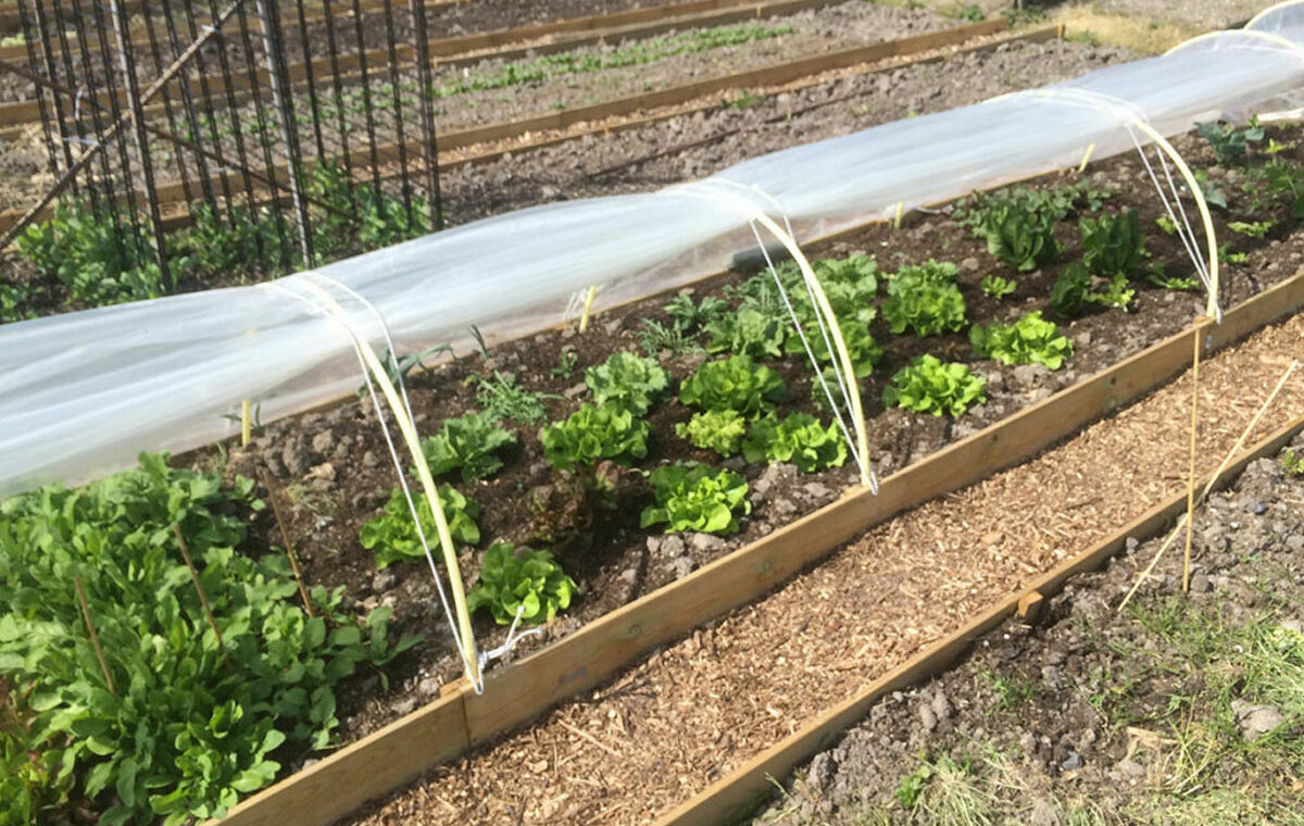 Wat is een koude bak