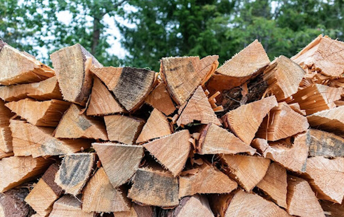 Haardhoutberging voor buiten