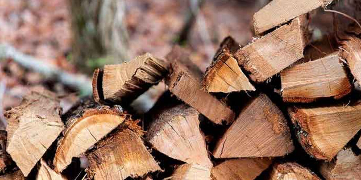 Haardhoutberging webshop