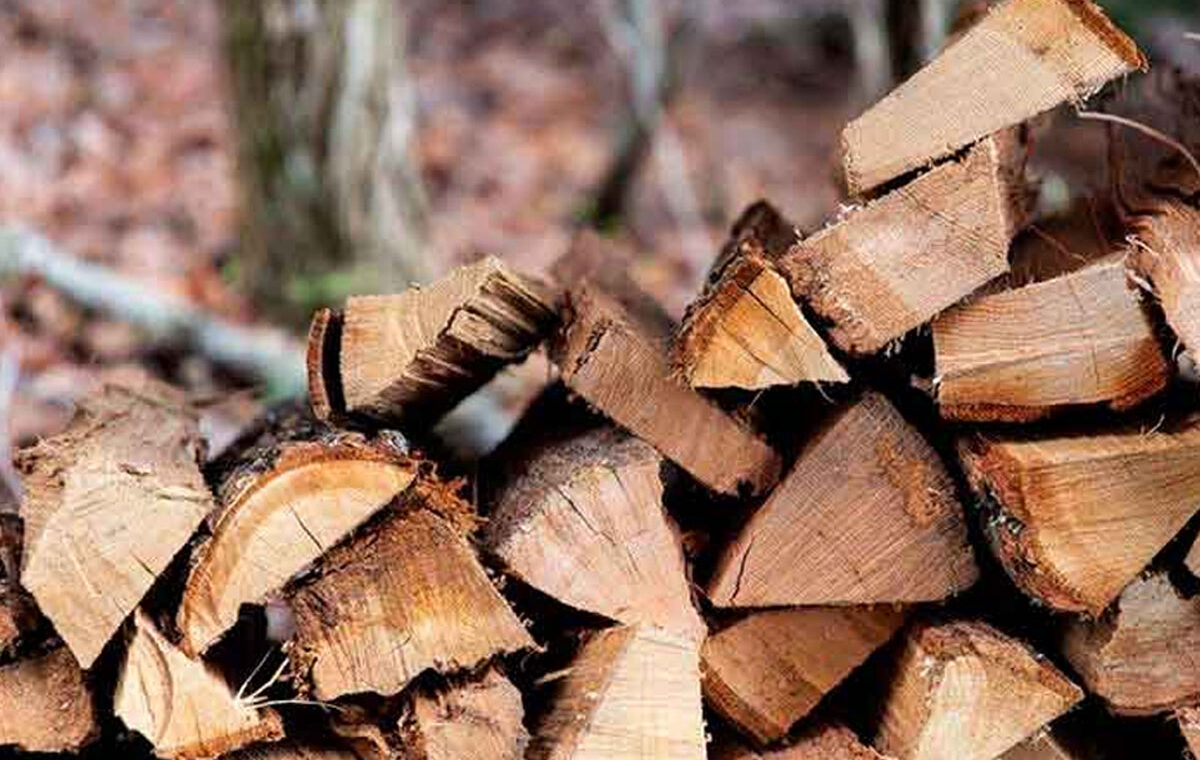 Haardhoutberging webshop