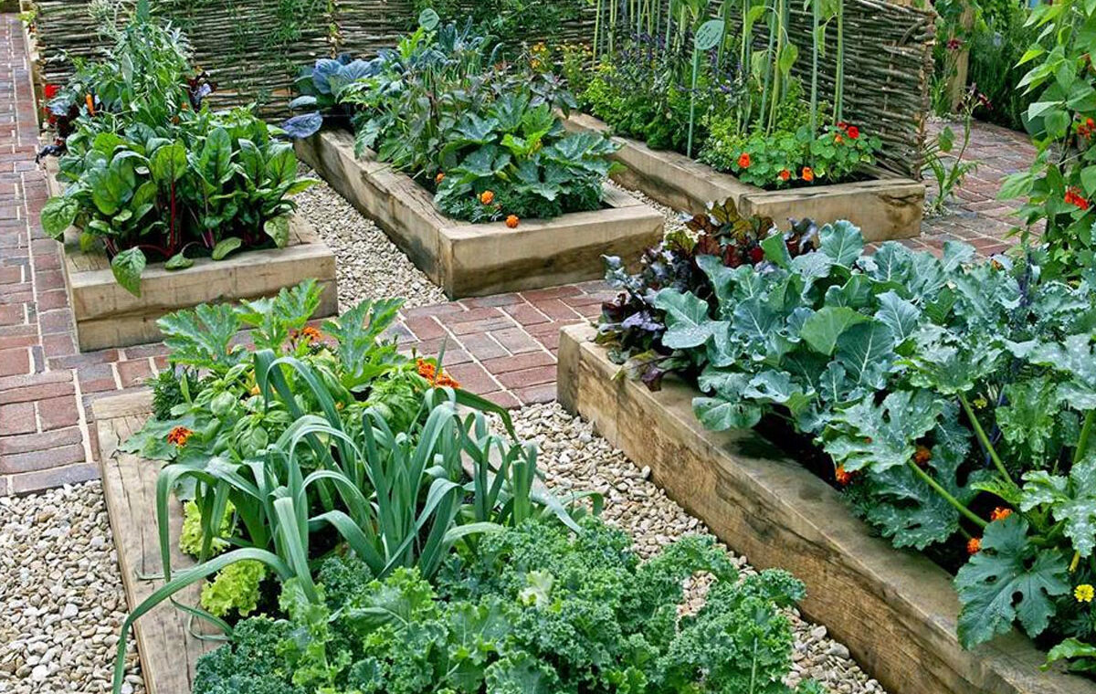 biologisch moestuinieren