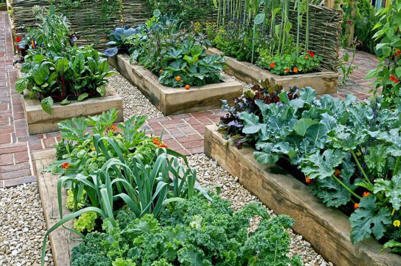 biologisch moestuinieren