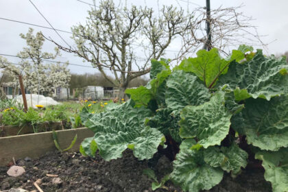 is moestuinieren gezond