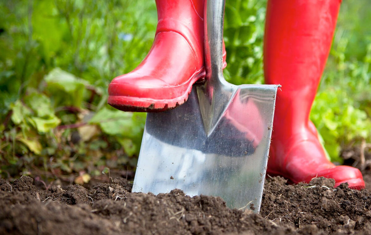 Moestuinieren zonder spitten