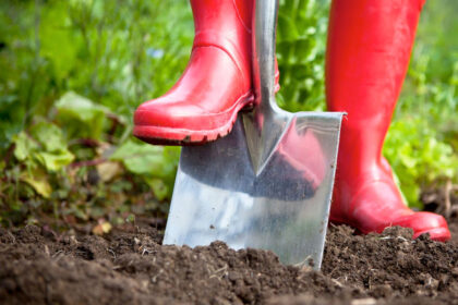 Moestuinieren zonder spitten