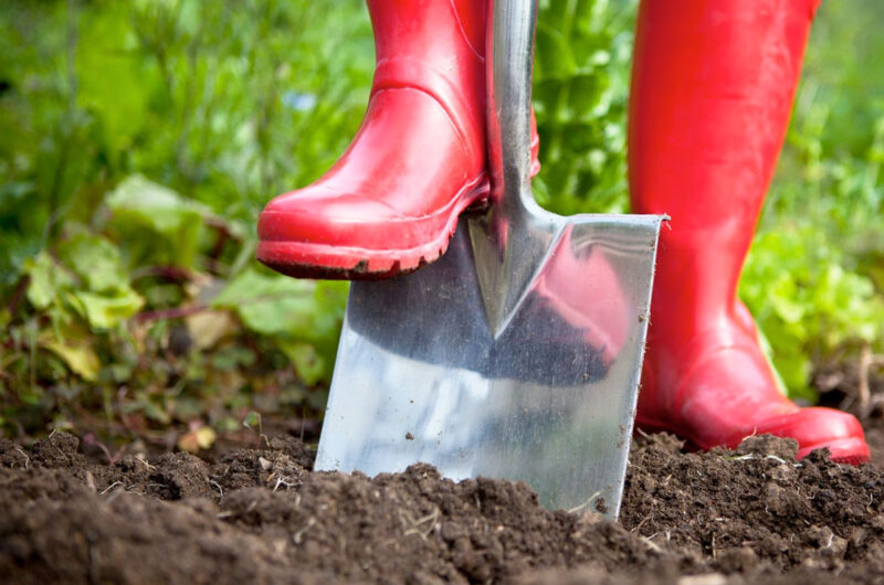 Moestuinieren zonder spitten