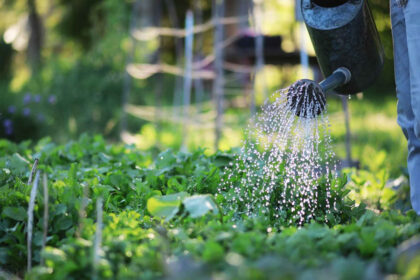 Moestuinieren aan de keukentafel
