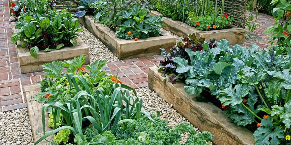 Moestuinieren in de schaduw