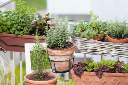 mini moestuin op balkon