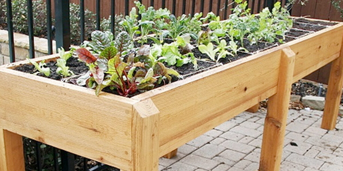 Moestuintje op poten