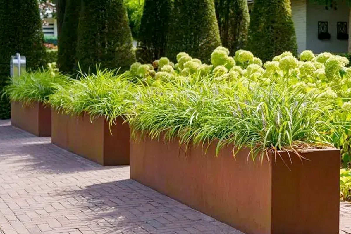 Hoe vaak moet je bloembakken water geven?