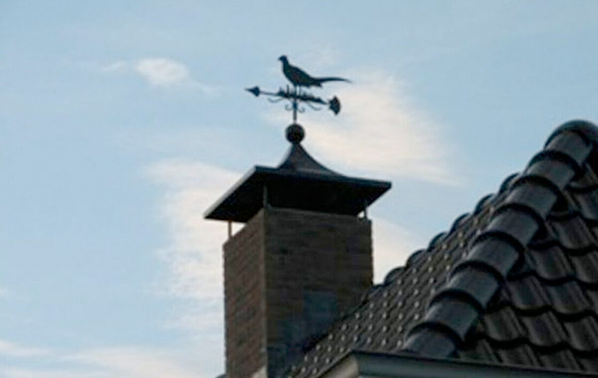 wat voor kap schoorsteen