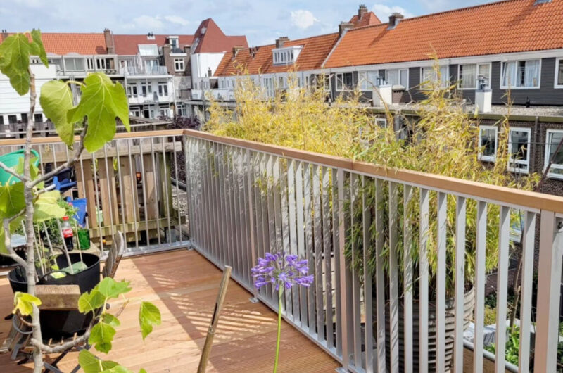 Dakterras bedrijf in zeeland