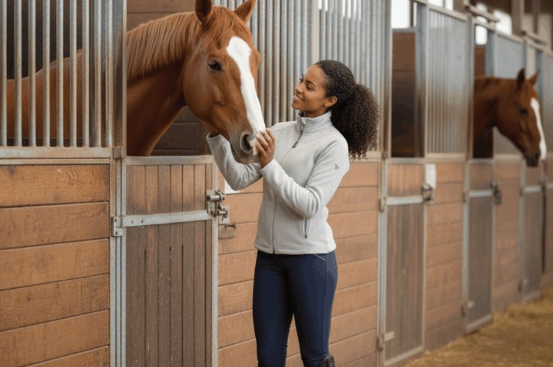 Paardenboxen bestellen