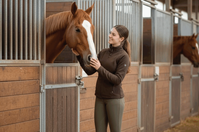 Paardenboxen kopen