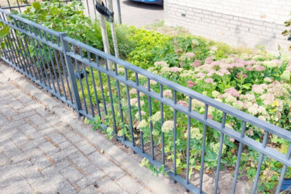 Goedkope sierhekken