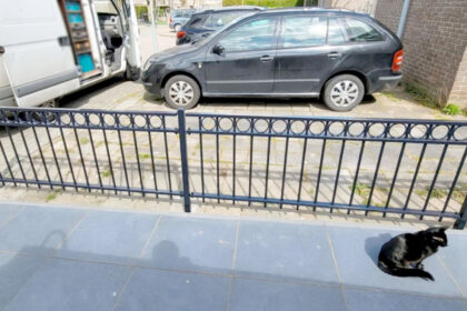 Sierhekken laten lassen