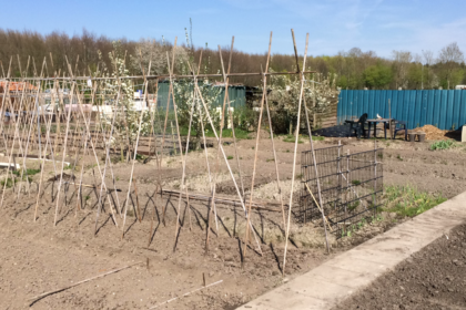 Een moestuin beginnen