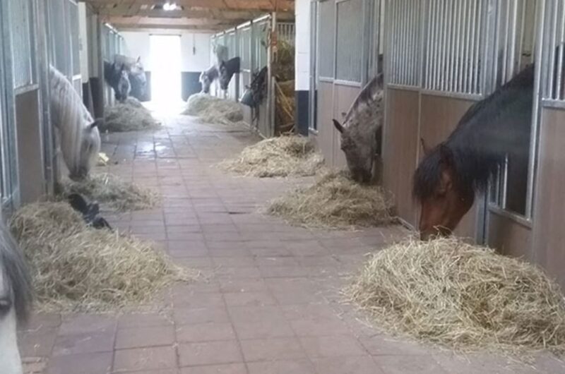 Paardenbox zelf installeren
