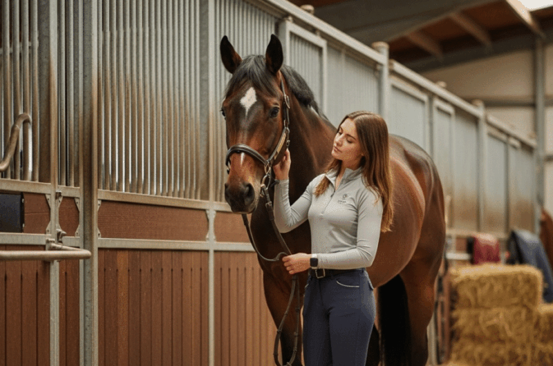 Voordelen stalen paardenbox wanden