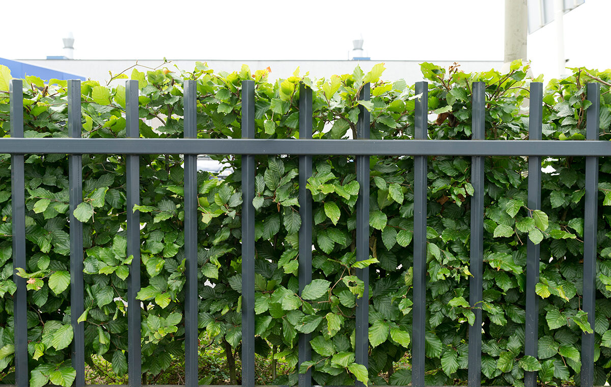 Waar kun je een hekwerk bestellen