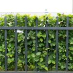 Waar kun je een hekwerk bestellen