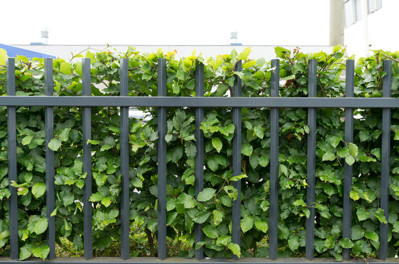 Waar kun je een hekwerk bestellen