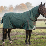Tips voor het kopen van een paardendeken