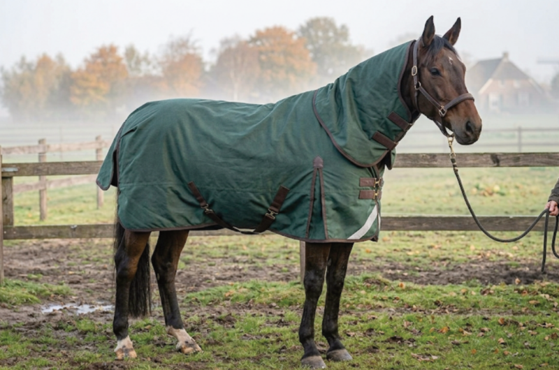 Tips voor het kopen van een paardendeken