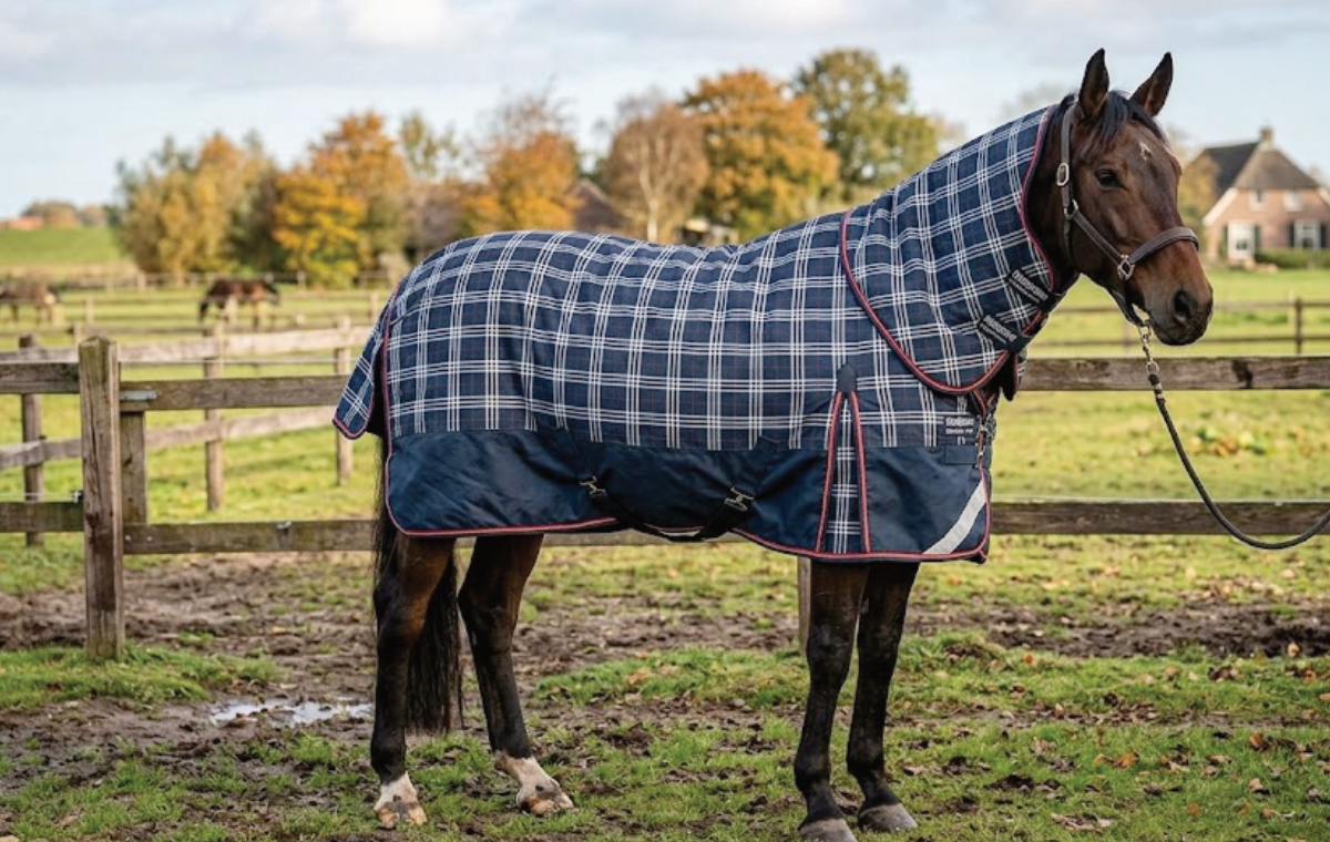 Wat zijn de beste paardendekens