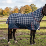 Wat zijn de beste paardendekens