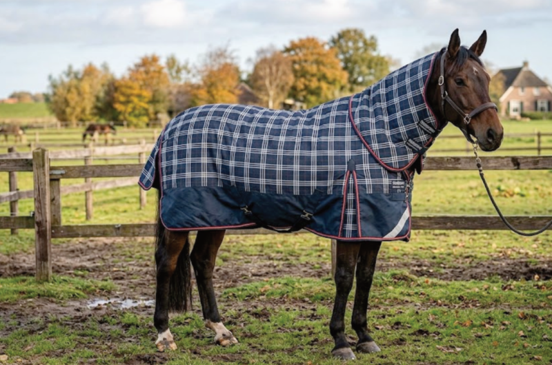 Wat zijn de beste paardendekens